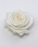 Eternal Roses Mini Box