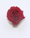 Eternal Roses Mini Box