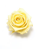 Eternal Roses Mini Box