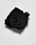 Eternal Roses Mini Box